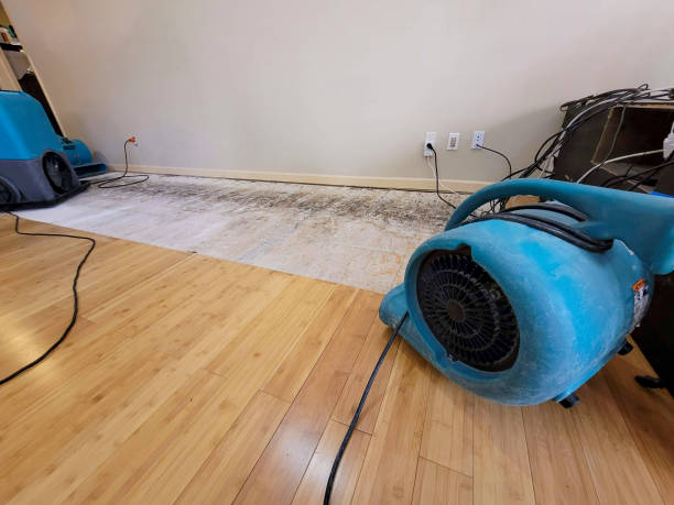 Reliable Basement Flood Cleanup contractor in Bristol, VA by Hirex Water Damage