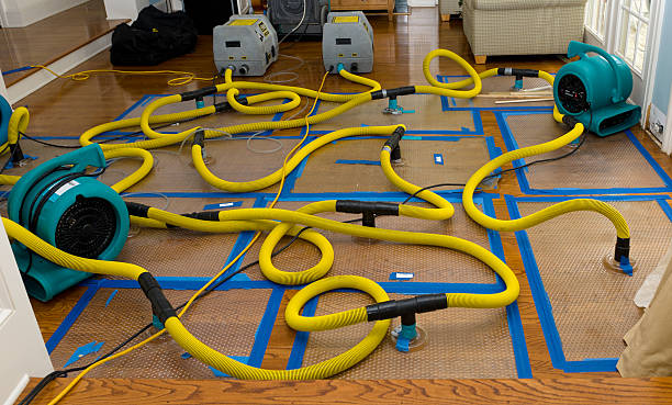 Professional Basement Flood Cleanup technician working in Bristol, VA